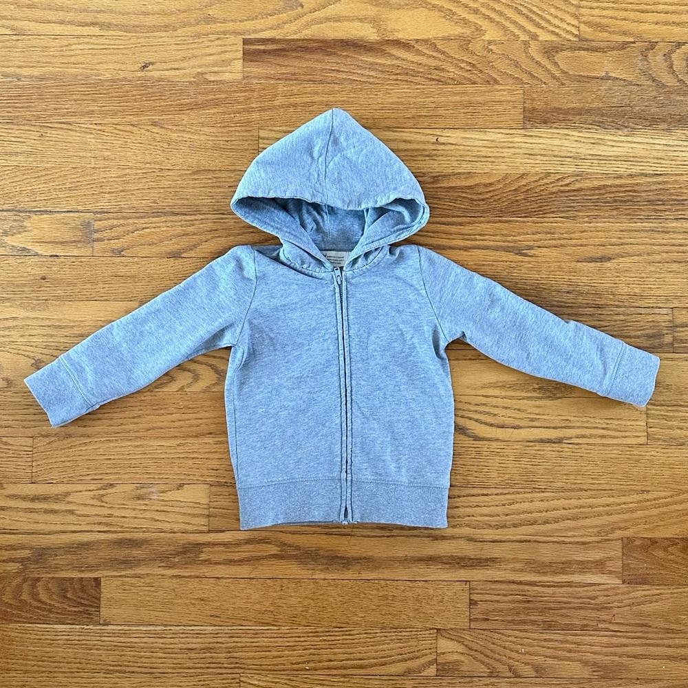 Monica and Andy Grey Hoodie 2T